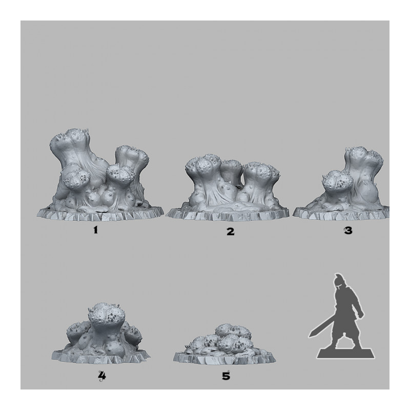 Fantastic Plants & Rocks -  