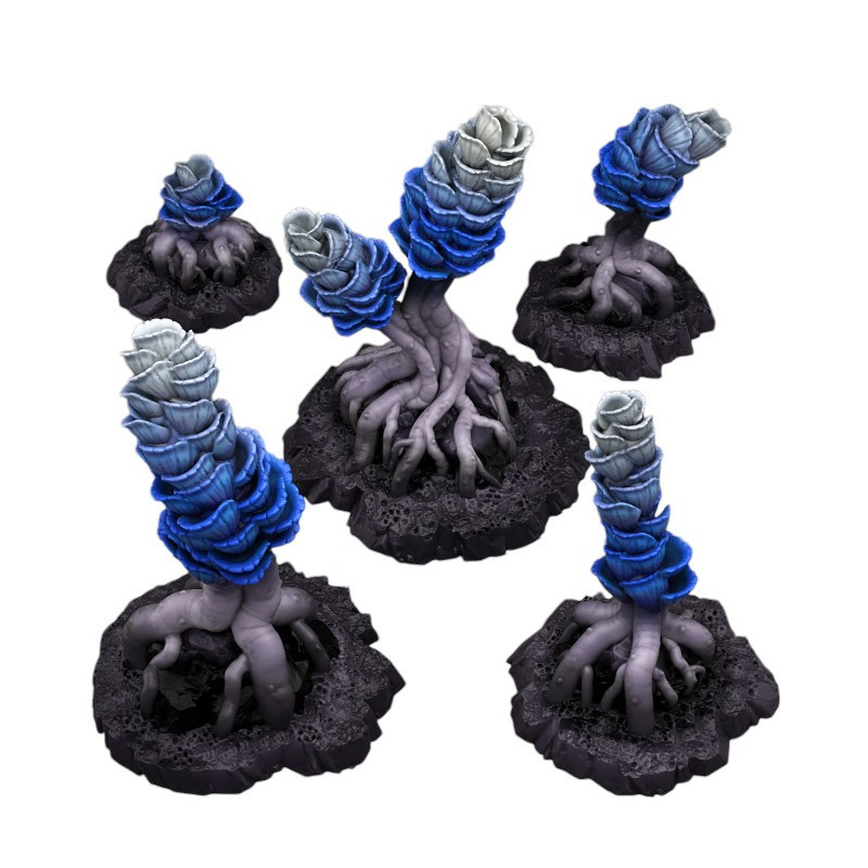 Fantastic Plants & Rocks -  