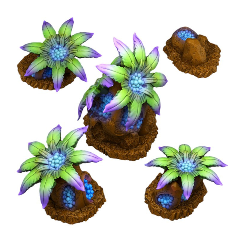 Fantastic Plants & Rocks -  