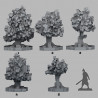 Fantastic Plants & Rocks -  