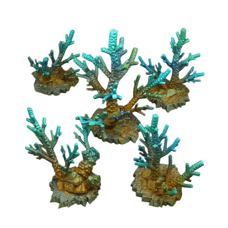 Fantastic Plants & Rocks -  