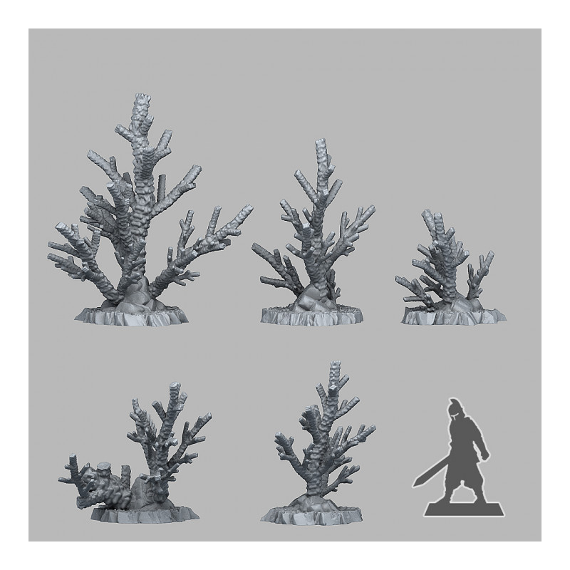 Fantastic Plants & Rocks -  