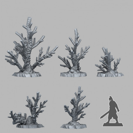 Fantastic Plants & Rocks -  