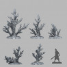 Fantastic Plants & Rocks -  