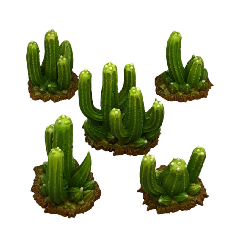 Fantastic Plants & Rocks -  