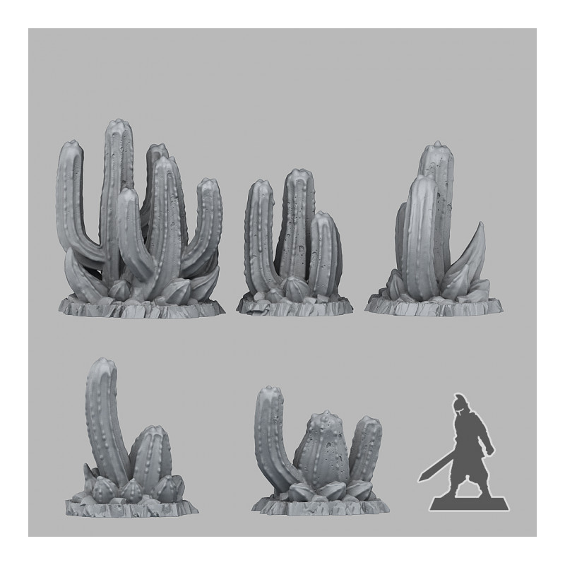 Fantastic Plants & Rocks -  
