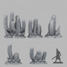 Fantastic Plants & Rocks -  