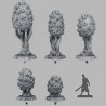 Fantastic Plants & Rocks -  