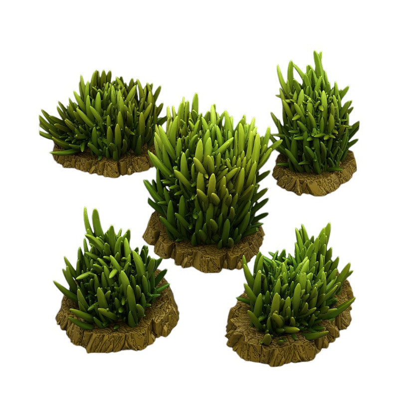 Fantastic Plants & Rocks -  