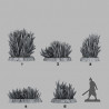 Fantastic Plants & Rocks -  