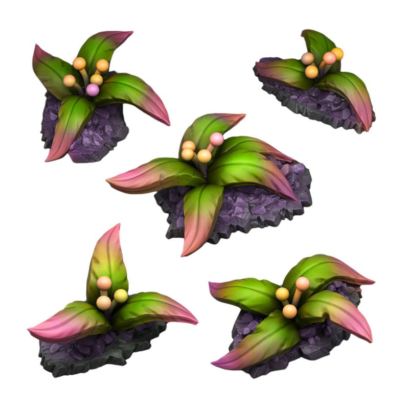 Fantastic Plants & Rocks -  
