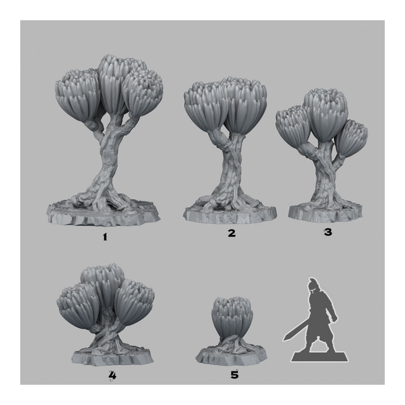 Fantastic Plants & Rocks -  