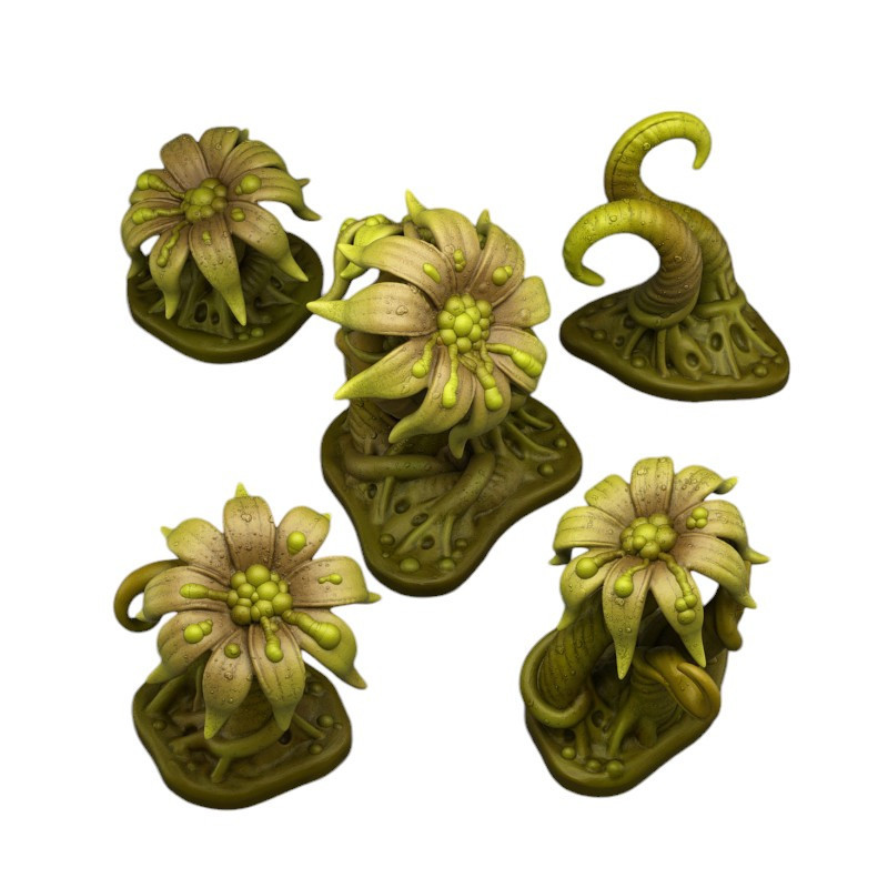 Fantastic Plants & Rocks -  