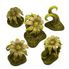 Fantastic Plants & Rocks -  