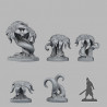 Fantastic Plants & Rocks -  