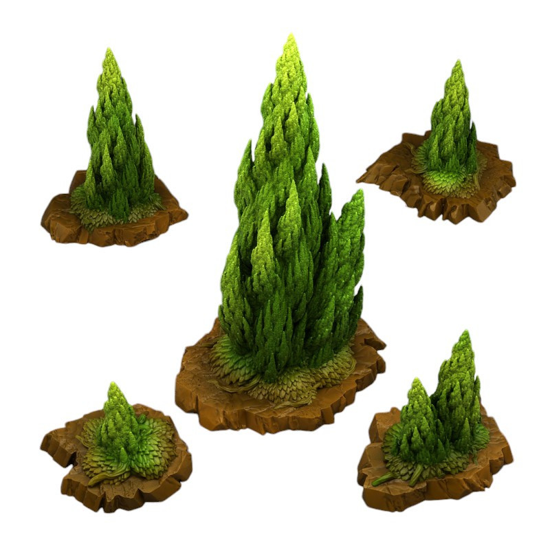 Fantastic Plants & Rocks -  