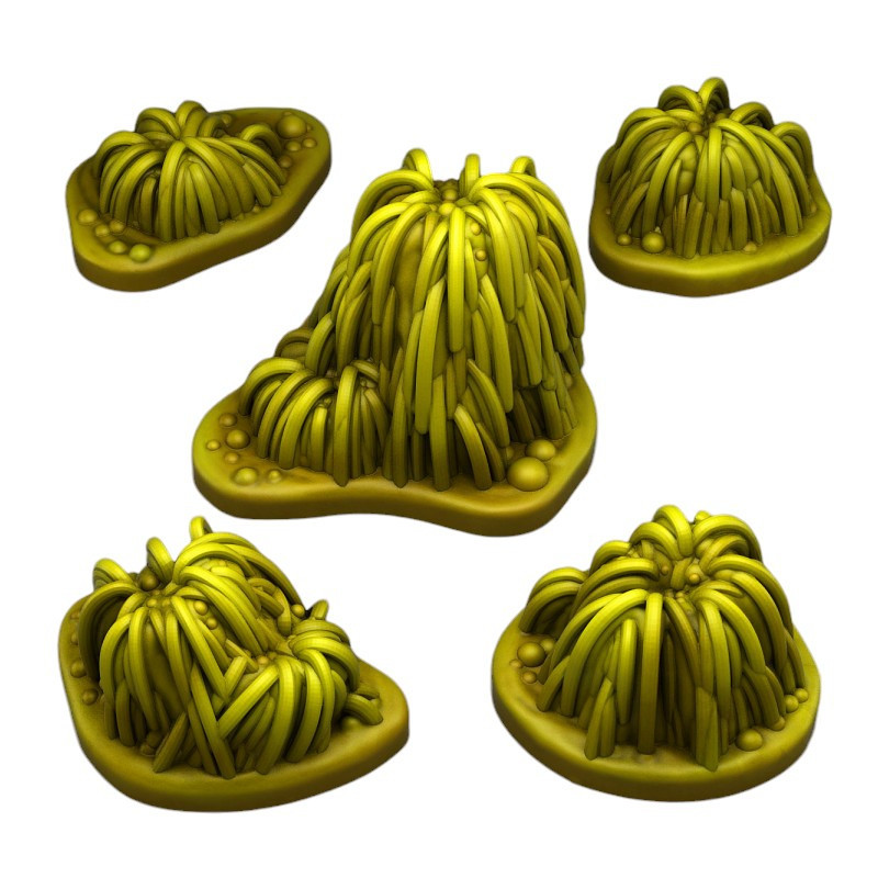 Fantastic Plants & Rocks -  