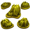 Fantastic Plants & Rocks -  