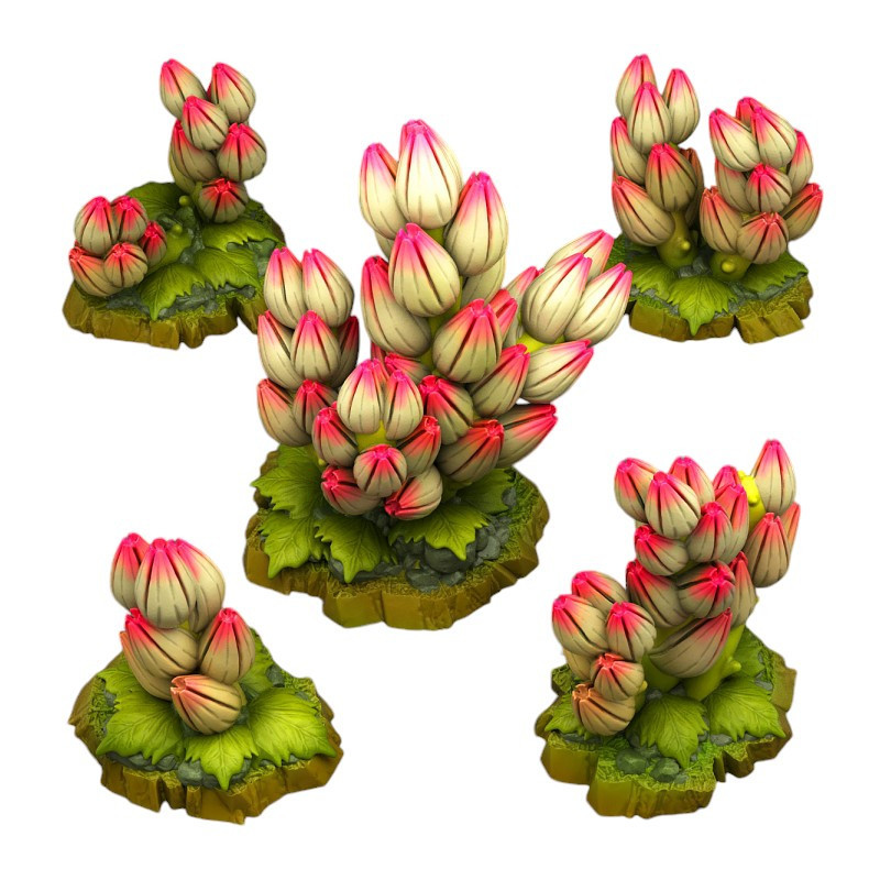 Fantastic Plants & Rocks -  
