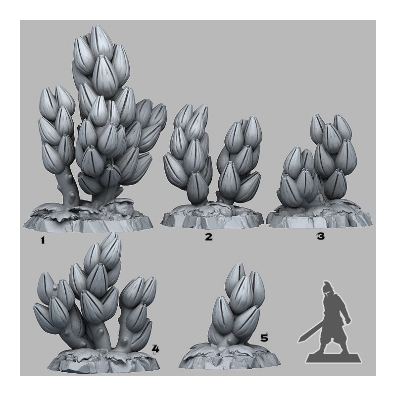Fantastic Plants & Rocks -  