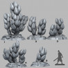 Fantastic Plants & Rocks -  