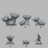 Fantastic Plants & Rocks -  