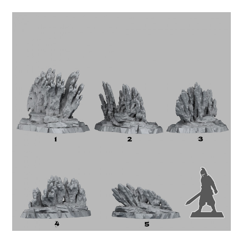 Fantastic Plants & Rocks -  