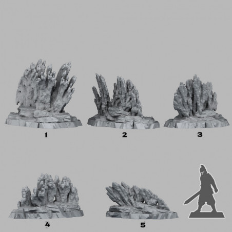 Fantastic Plants & Rocks -  
