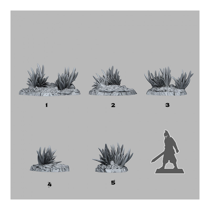 Fantastic Plants & Rocks -  