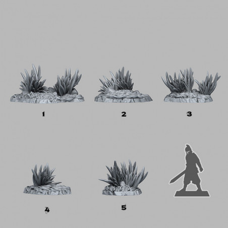 Fantastic Plants & Rocks -  
