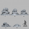 Fantastic Plants & Rocks -  
