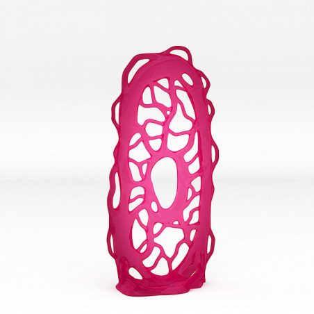 Fantastic PortalsFantastic Portals - Amazon Portal with its Lianas effect 