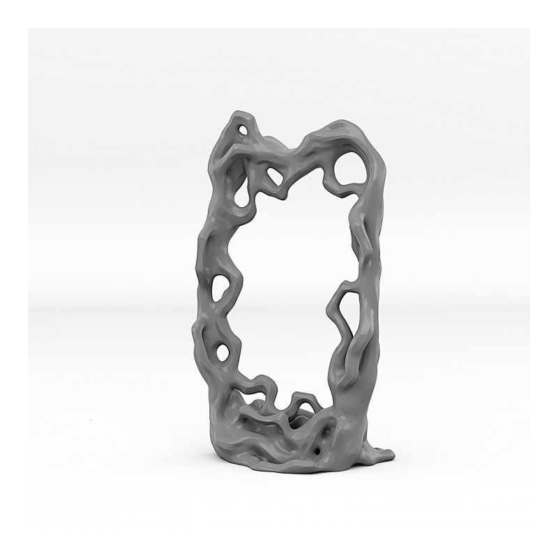 Fantastic PortalsFantastic Portals - Elfic Portal with its Magic Barrier 
