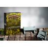 Figurines HeroQuest en résine 3D - Compatibles, personnalisées et détaillées pour vos parties de jeu de plateau