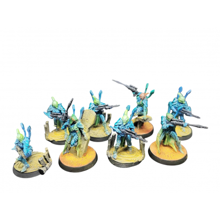 Ghamak-Elda Amish SquadGhamak-Elda Amish Squad