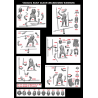 Victrix -  