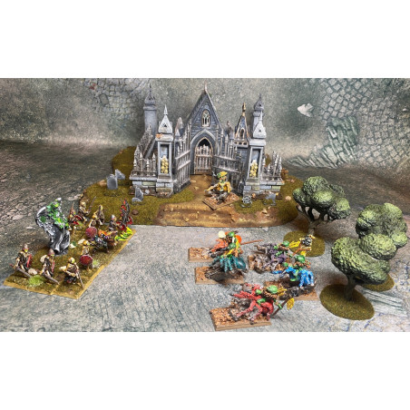 Higland Miniature Transilvanya - Skeleton warriors with swords