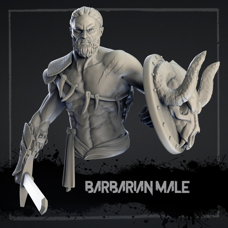 Buste - Barbare homme - 10cm