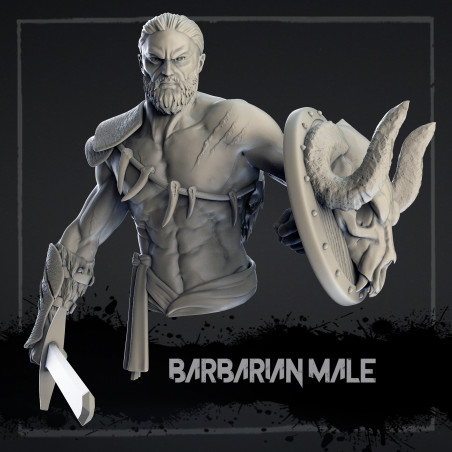 Buste - Barbare homme - 10cm