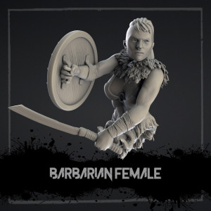 Bust in resin size 10cm- Female barbarian