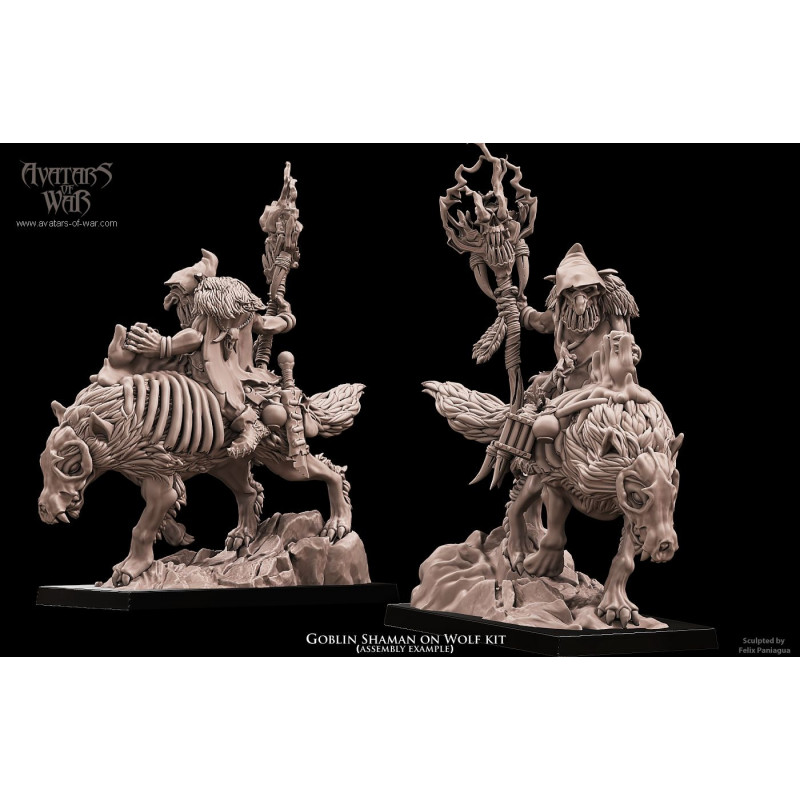 Avatars of  Wars - Chaman orque sur sanglier  