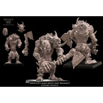 Avatars of War -Kit Trolls du Chaos   