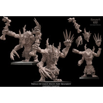 Avatars of War -Kit Trolls du Chaos   