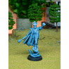 Higlands Miniature - Aegan Elves Héros à cheval  