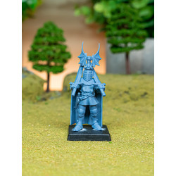 Higland miniatures Gallia - Arthur king of the briton   (2)