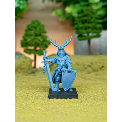 Higland miniatures Gallia - Duc 1 à pieds   (2)