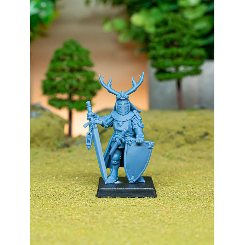 Higland miniatures Gallia - Duc 1 à pieds  