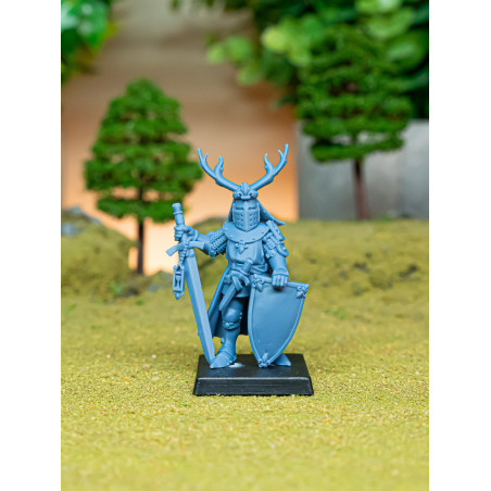 Higland miniatures Gallia - Duc 1 à pieds  