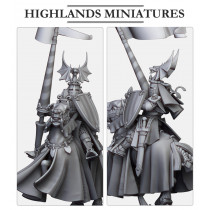 Higland miniatures Gallia - Sir Jaume monté  