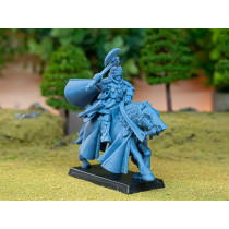 Higland miniatures Gallia - Sir Robert monté  